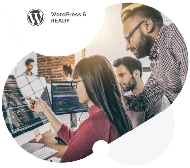 WordPress 5 ready